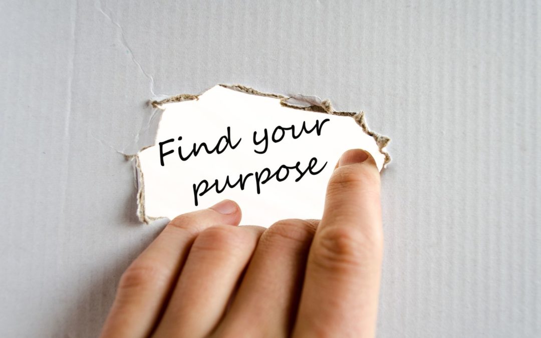 What is your purpose?