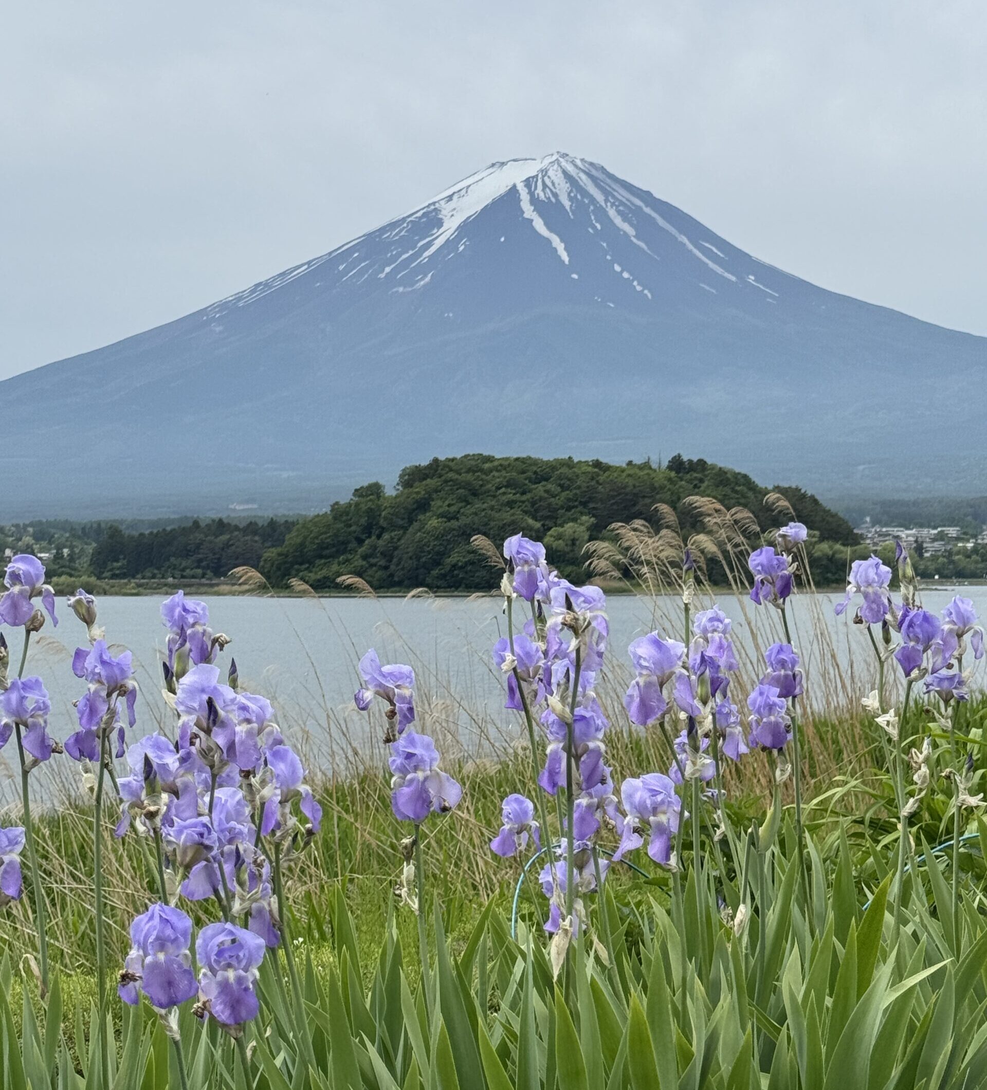 Japan - Mt Fuji